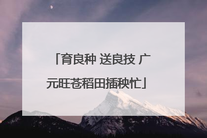 育良种 送良技 广元旺苍稻田插秧忙